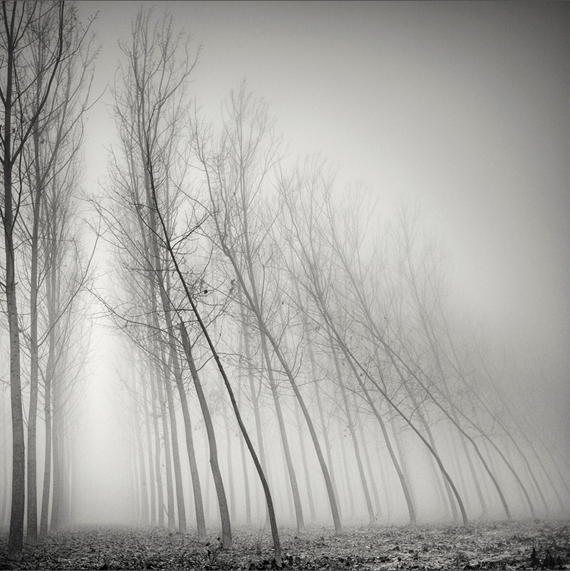 美丽荒寂的黑白风光 体育老师的迷雾森林