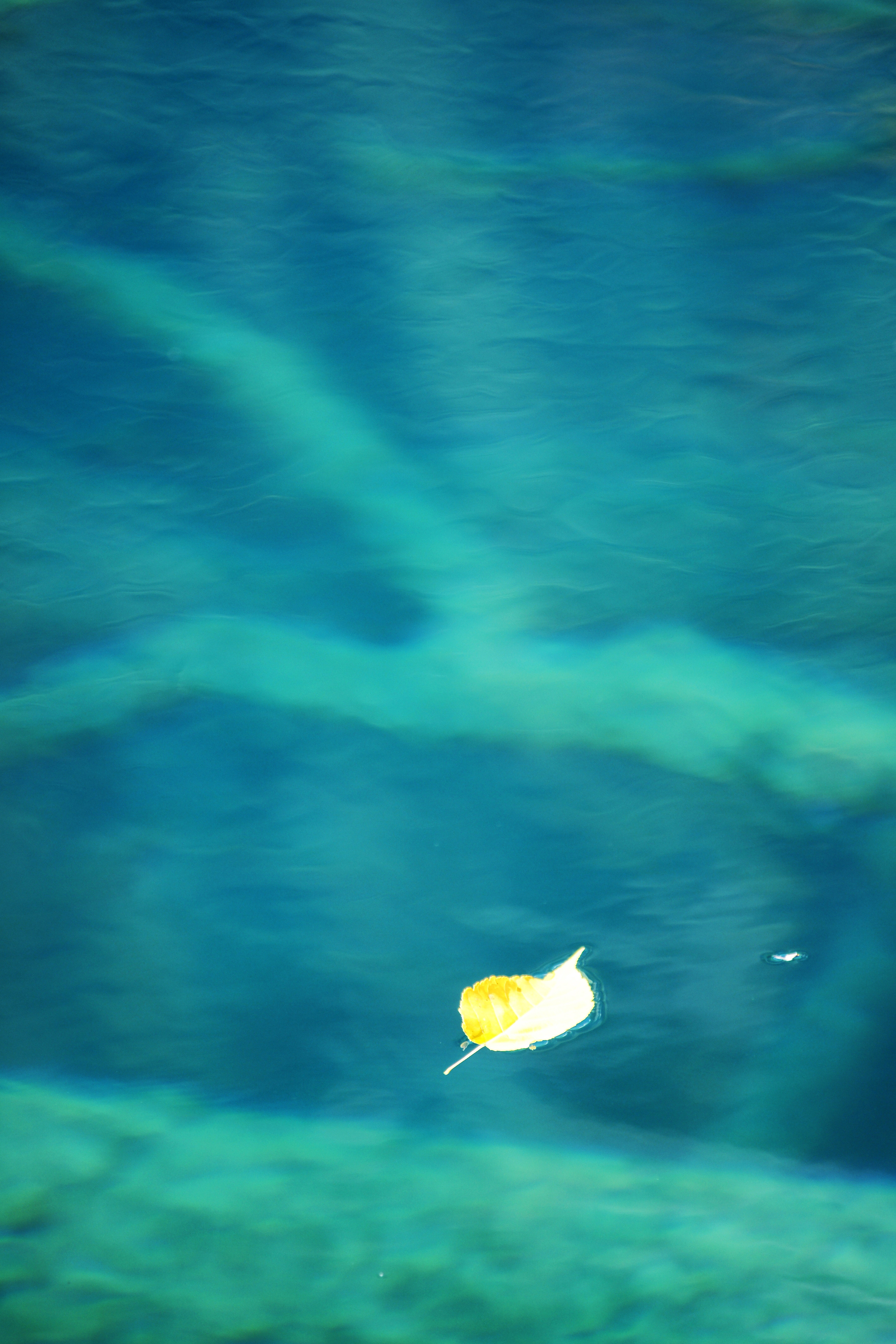 ۼ 700կ֮ù