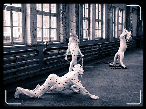 Ӱѡ