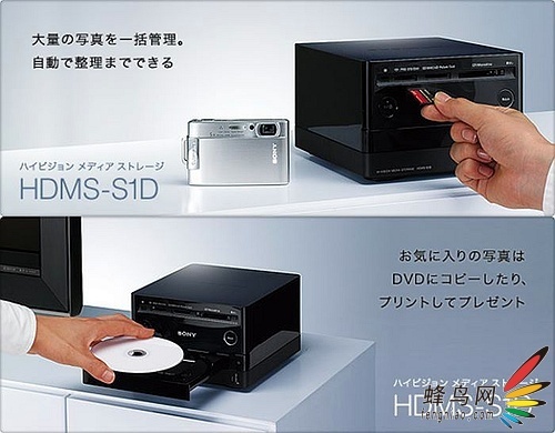 洢ᷢӲʽƬ