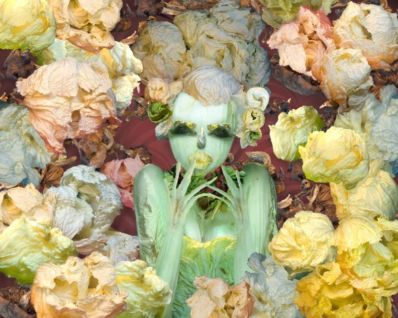 女艺术家的蔬菜博物馆：桔多淇创意摄影