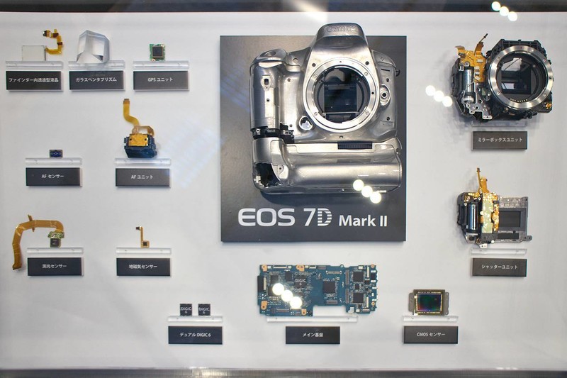 备受关注 佳能EOS 7D Mark II巡展图赏