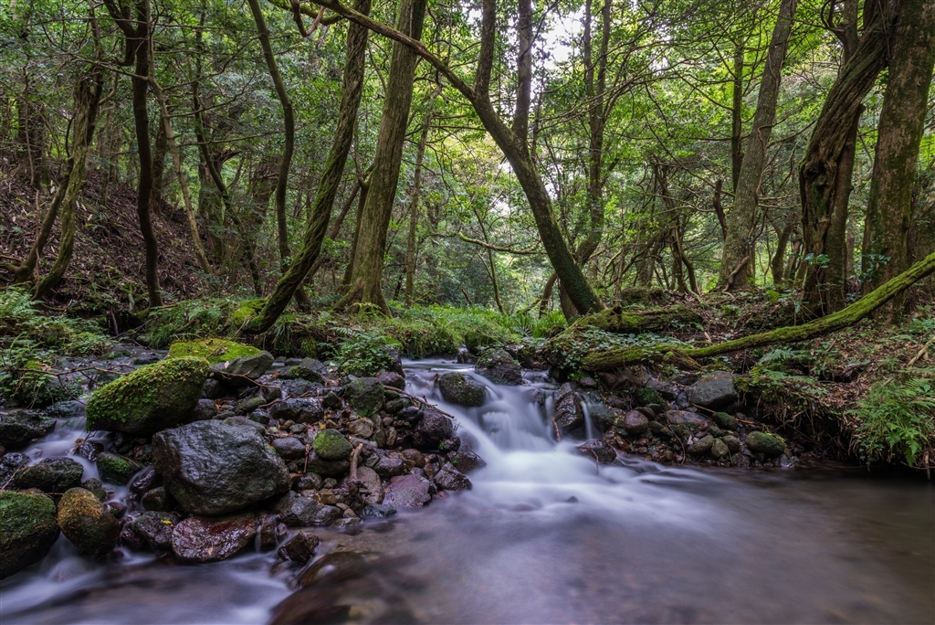 超广定焦新镜 尼康20mm F1.8G样张图赏