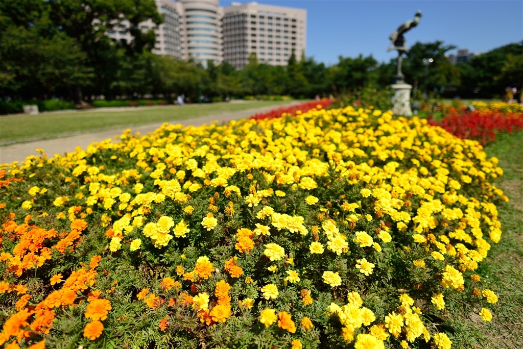 超广定焦新镜 尼康20mm F1.8G样张图赏