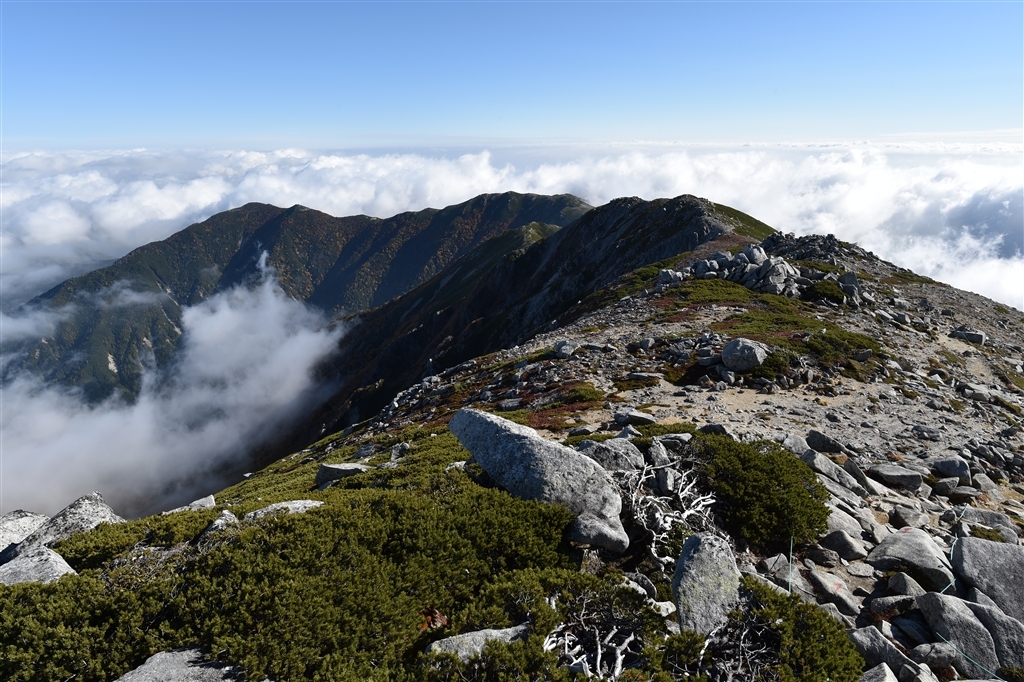 超广定焦新镜 尼康20mm F1.8G样张图赏