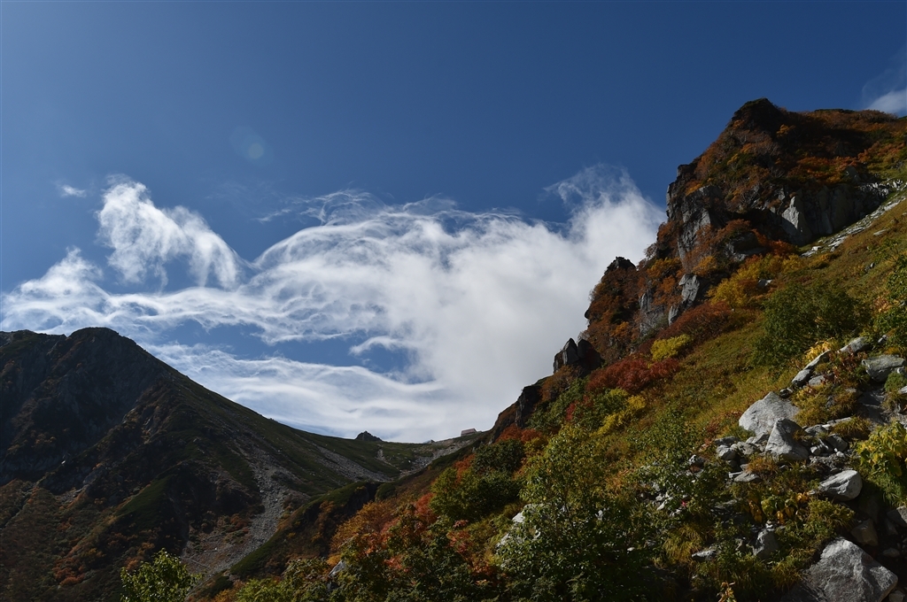 超广定焦新镜 尼康20mm F1.8G样张图赏