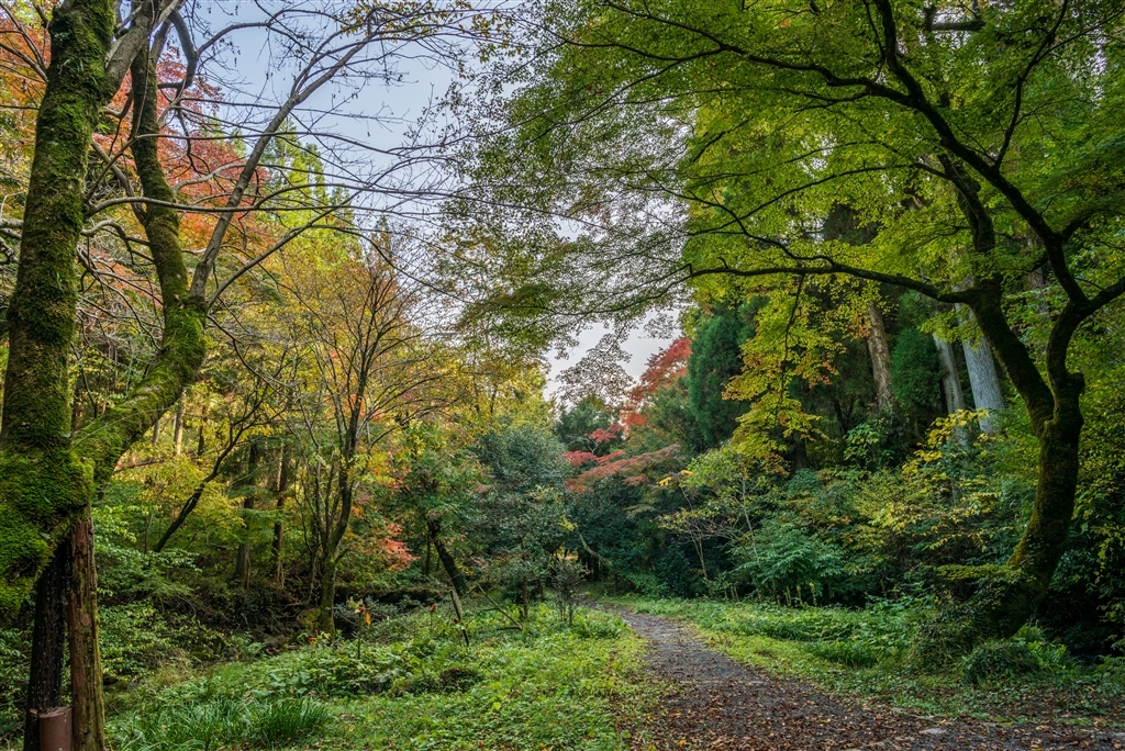 超广定焦新镜 尼康20mm F1.8G样张图赏