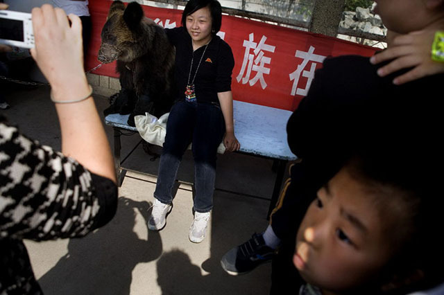 欢乐的另一面 Scott Brauer拍中国动物园