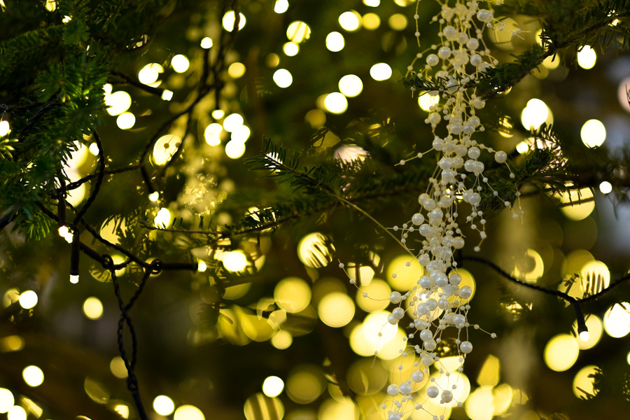 强力虚化 富士56mm F1.2 APD样张欣赏