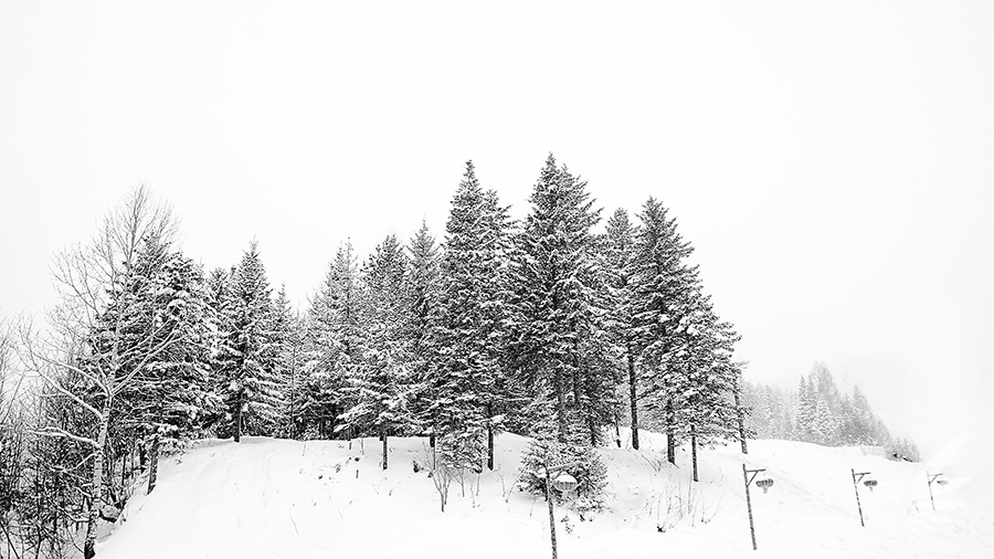 跟随“爸爸去哪儿”脚步 奇幻瑰丽雪乡美景