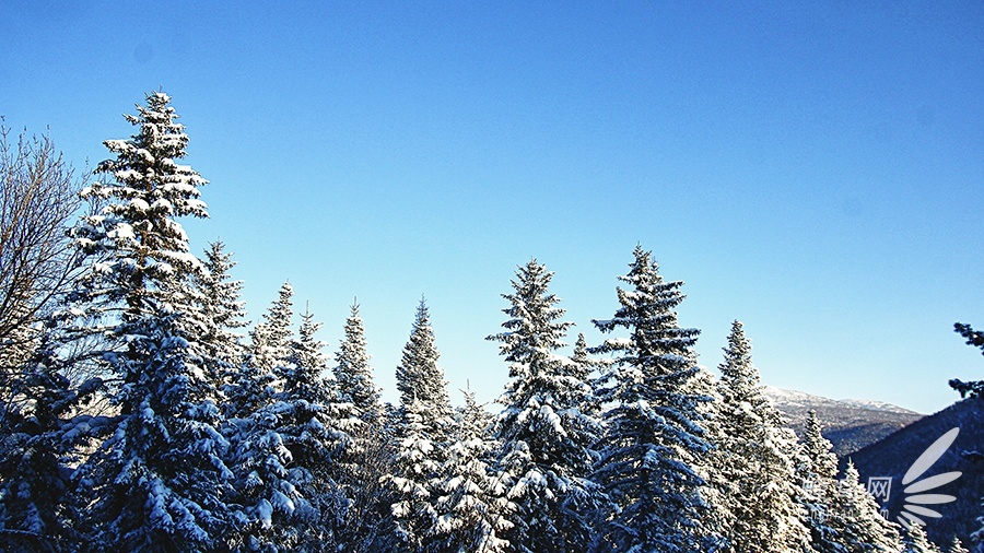 跟随“爸爸去哪儿”脚步 奇幻瑰丽雪乡美景