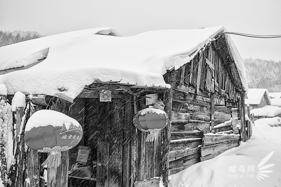 跟随“爸爸去哪儿”脚步 奇幻瑰丽雪乡美景