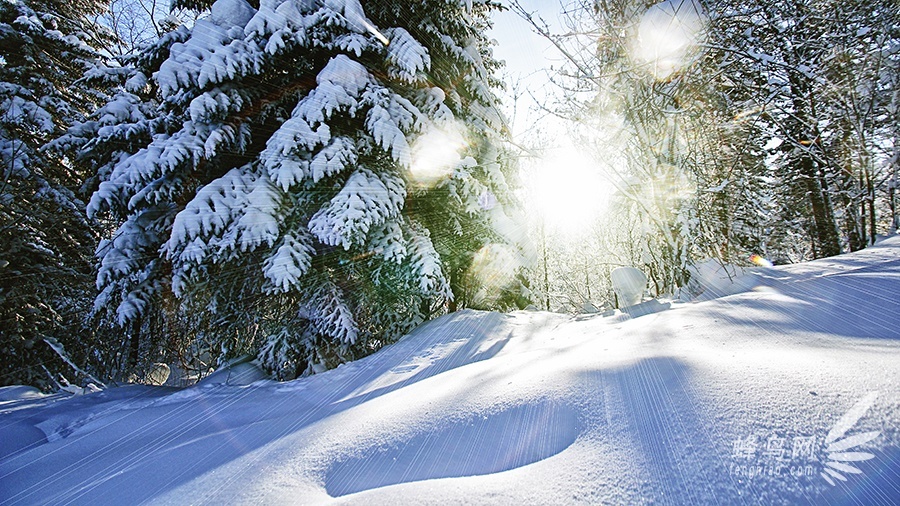 跟随“爸爸去哪儿”脚步 奇幻瑰丽雪乡美景