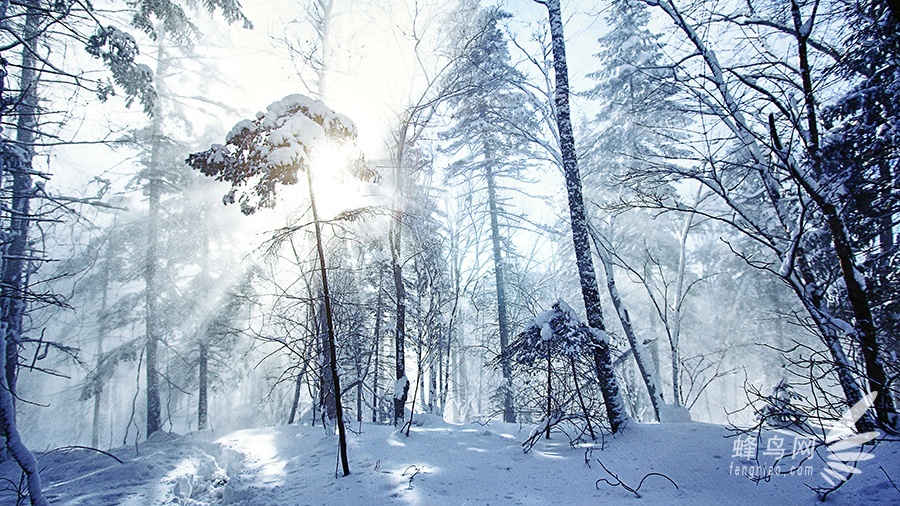 跟随“爸爸去哪儿”脚步 奇幻瑰丽雪乡美景