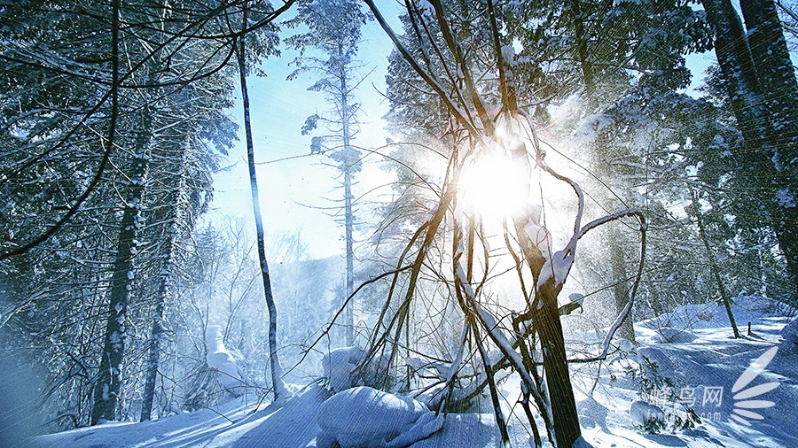 跟随“爸爸去哪儿”脚步 奇幻瑰丽雪乡美景