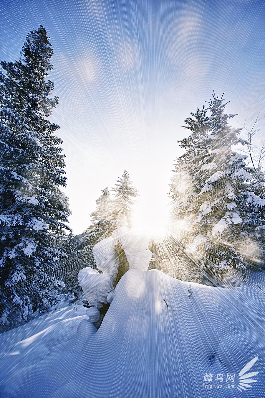 跟随“爸爸去哪儿”脚步 奇幻瑰丽雪乡美景