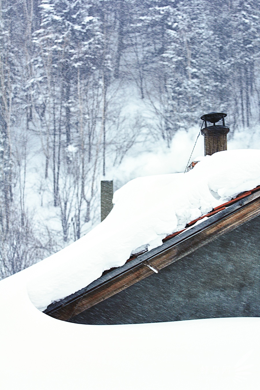 跟随“爸爸去哪儿”脚步 奇幻瑰丽雪乡美景