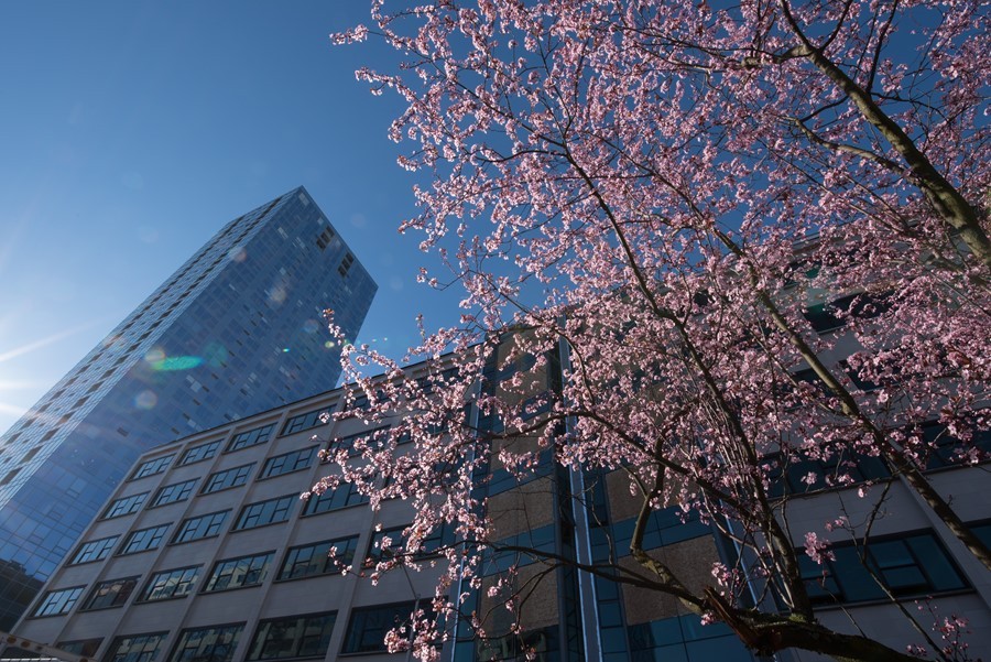 超高解像力 腾龙15-30mm f/2.8样张图赏