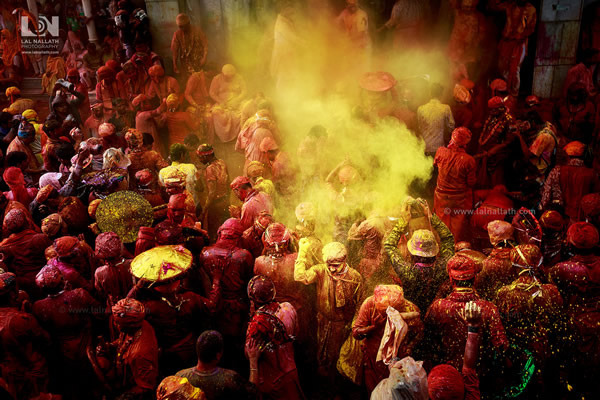 爆炸的色彩：2015印度胡里节最佳摄影