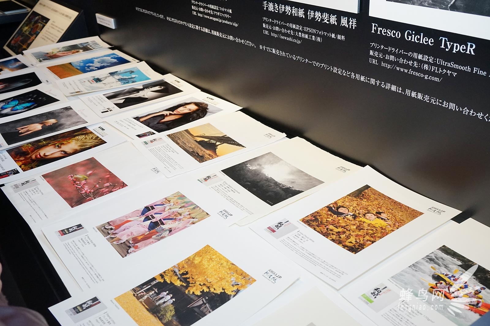 CP+2015:众多影像输出设备 爱普生展台报道