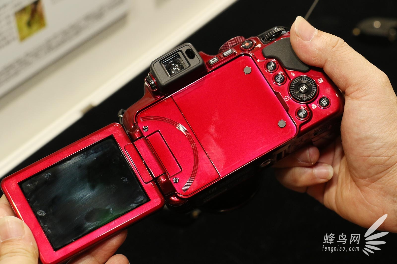 CP+2015：尼康COOLPIX P610便携长焦亮相