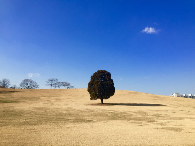 万众期待 官方公布iPhone 6拍摄全球风景