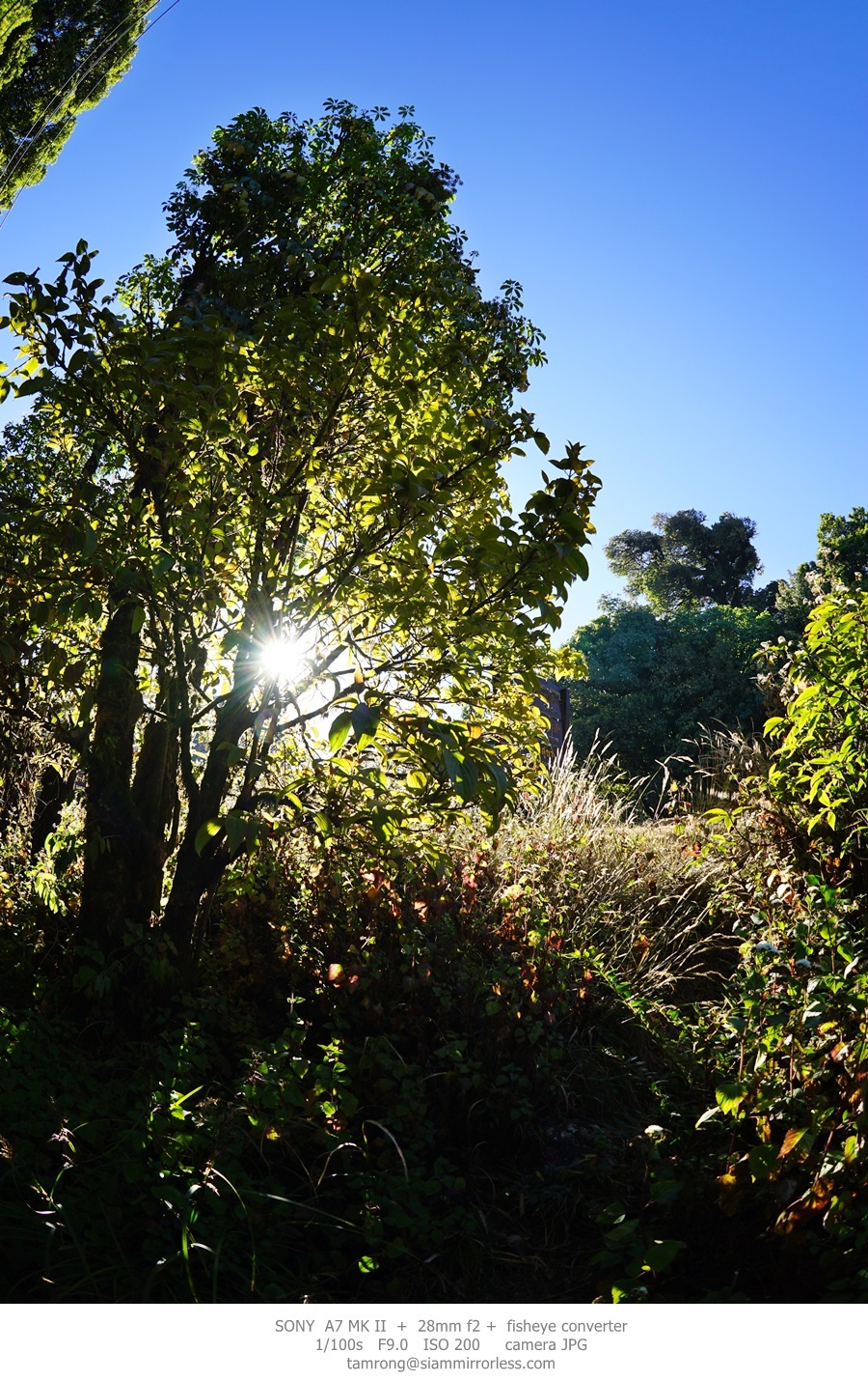 直观转接 索尼28mm f/2增加附加镜实拍