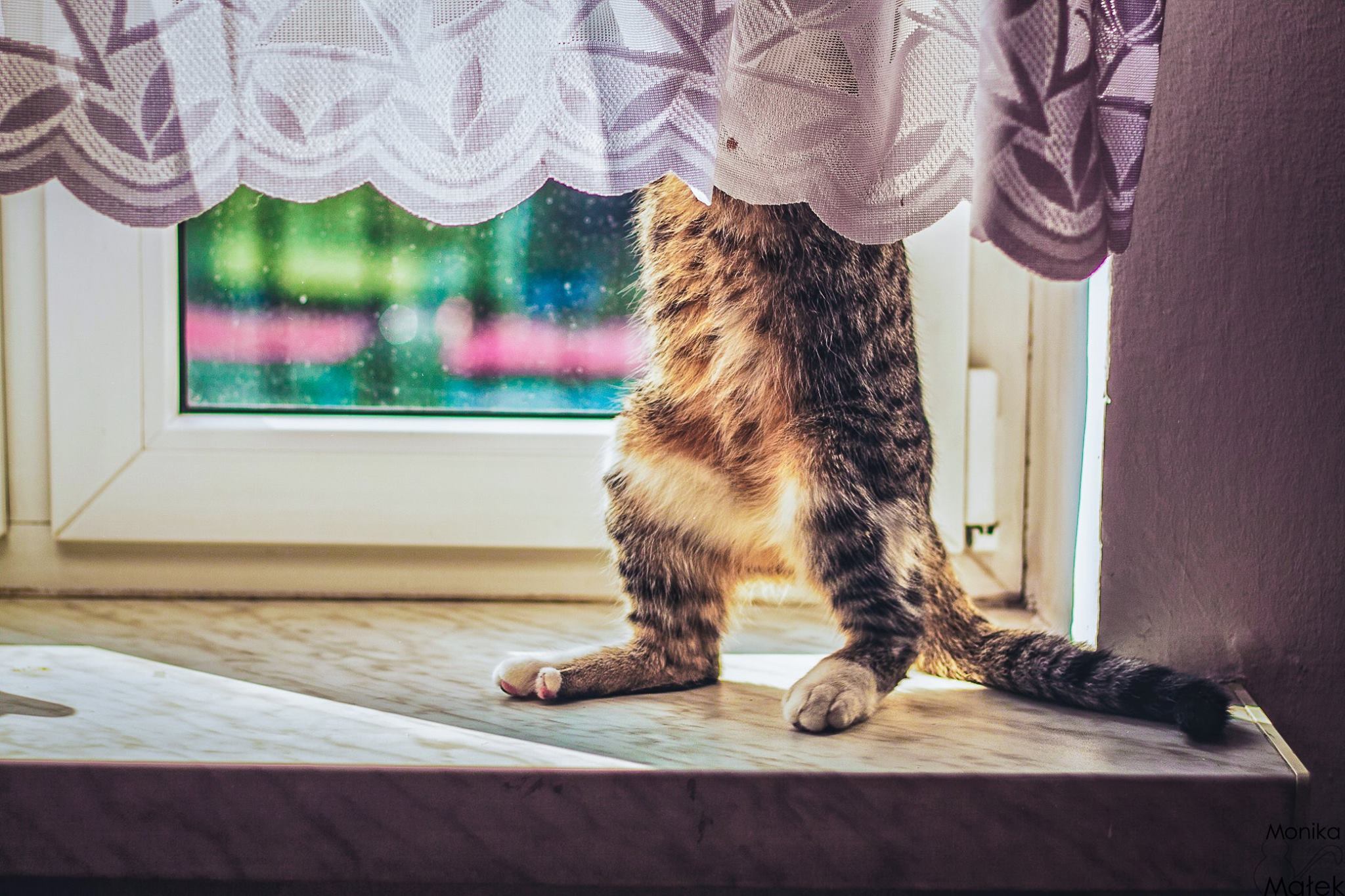 Ȱ °Ȼʸ