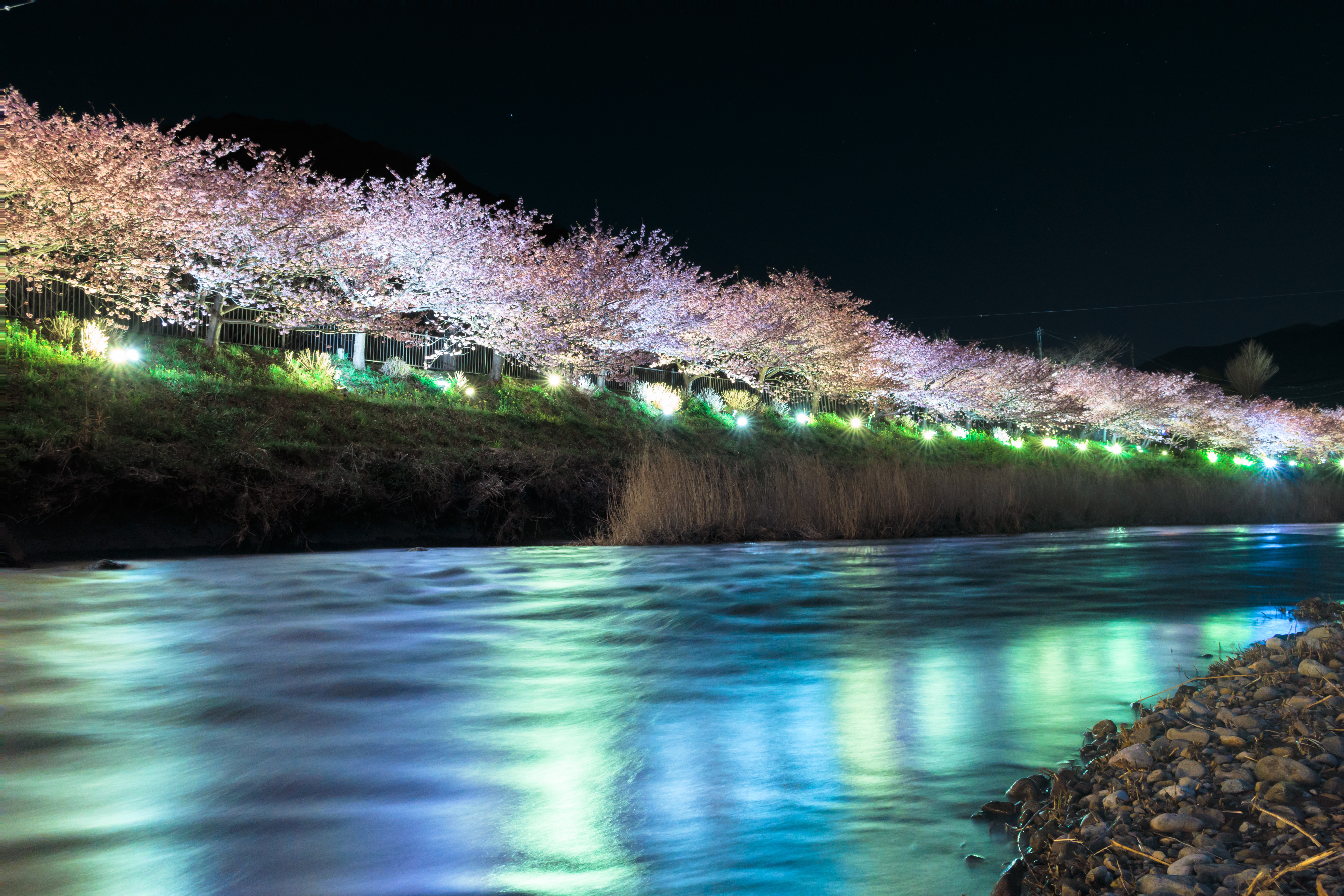 记录别样寂静之美 佳能G7X实拍夜樱美景