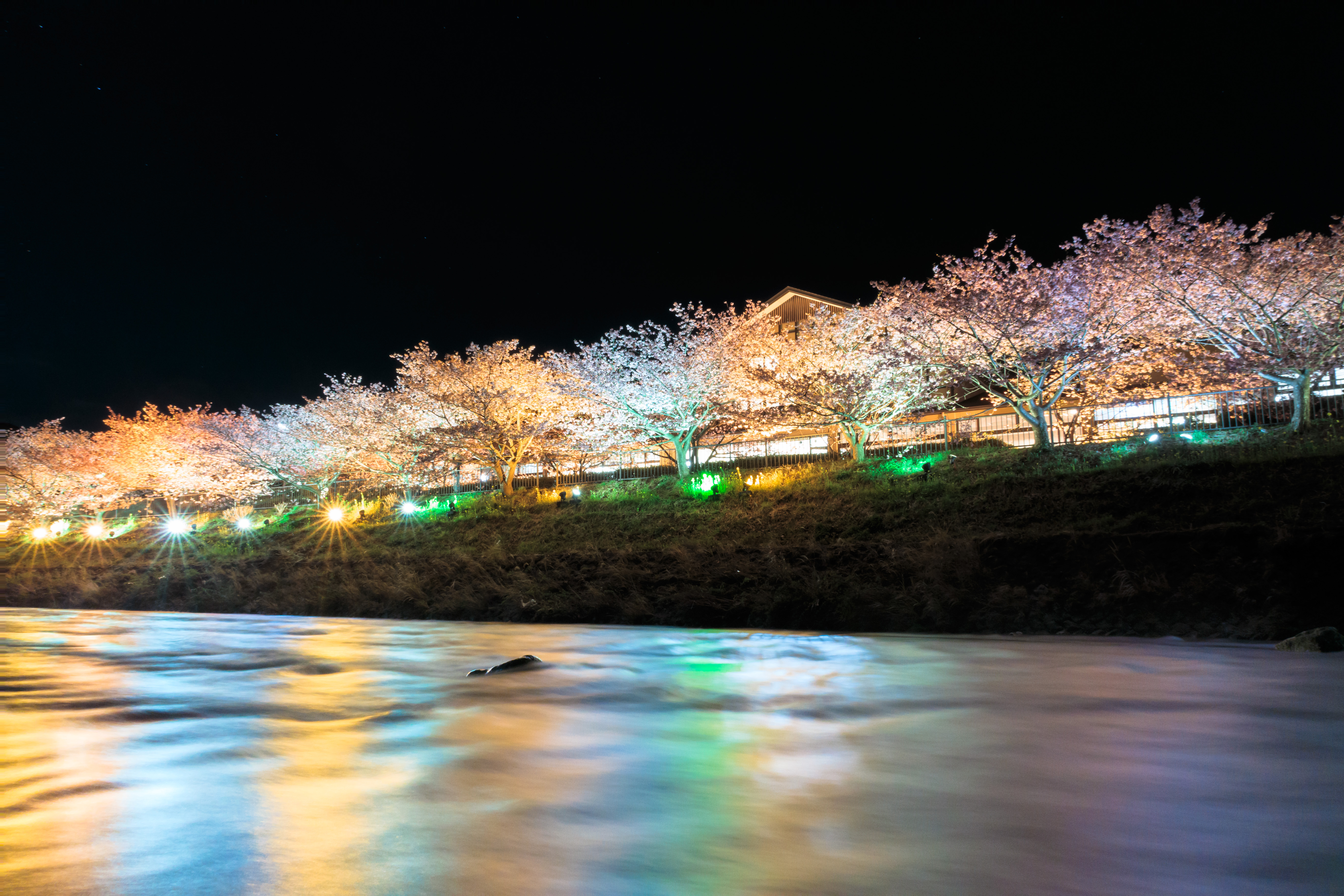 记录别样寂静之美 佳能G7X实拍夜樱美景