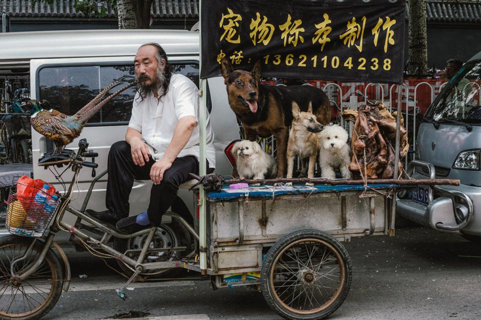 令人着迷的东方 外国摄影师镜头下的中国