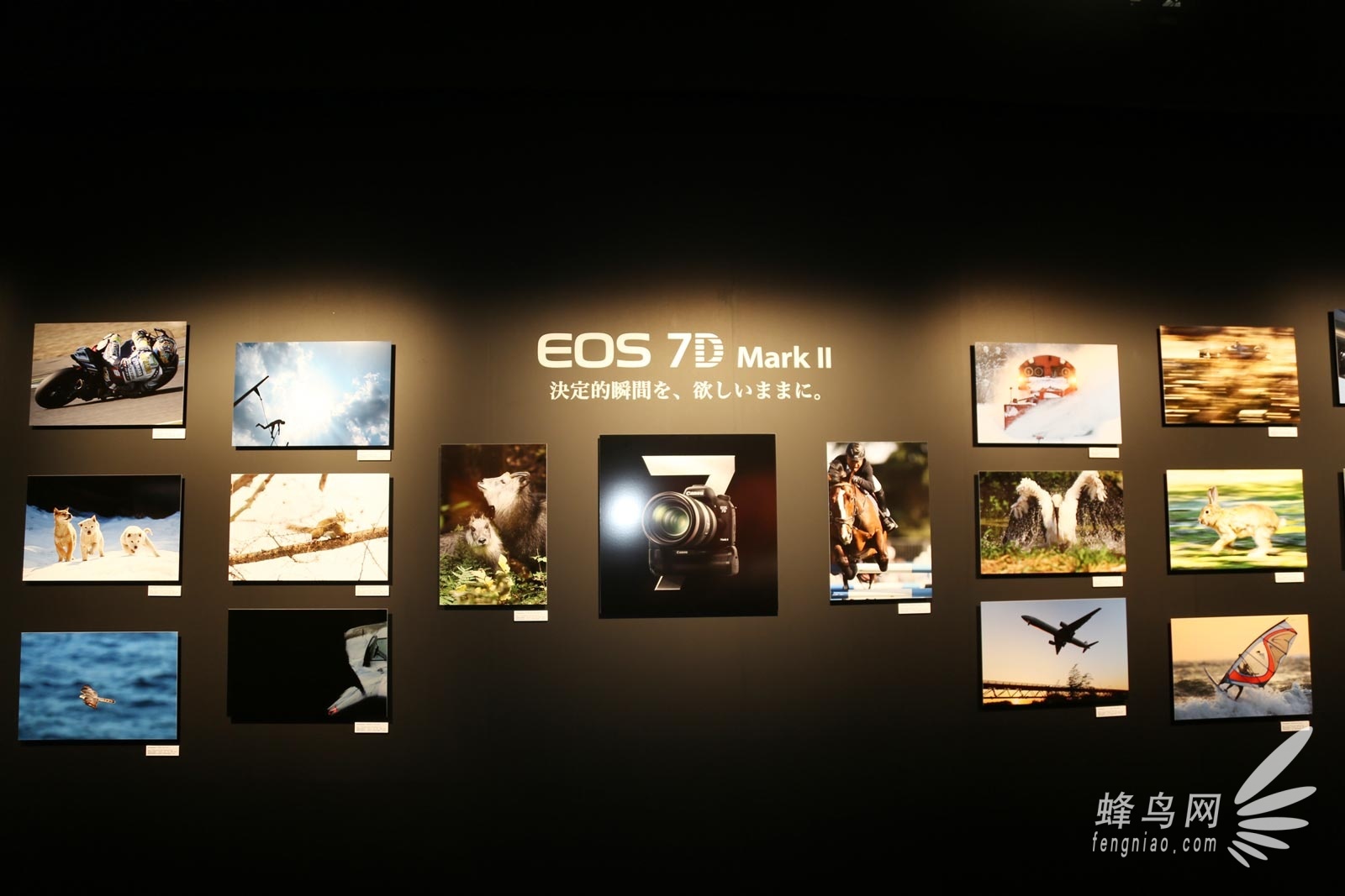 CP+2016:EOS 80D领衔 佳能展台现场图赏