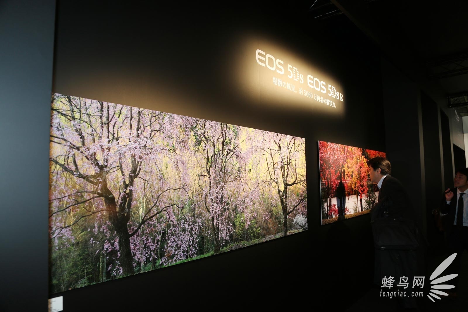 CP+2016:EOS 80D领衔 佳能展台现场图赏