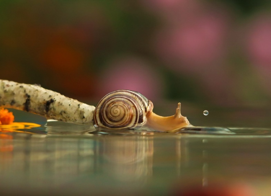 ů΢Ӱ ţü