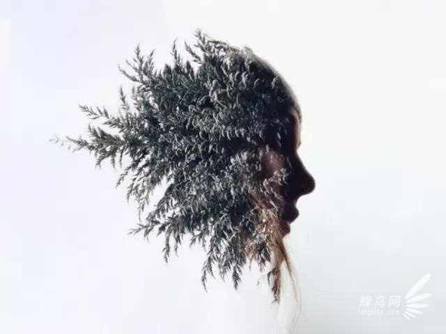 Brandon Kidwell ：用iPhone的摄影大师