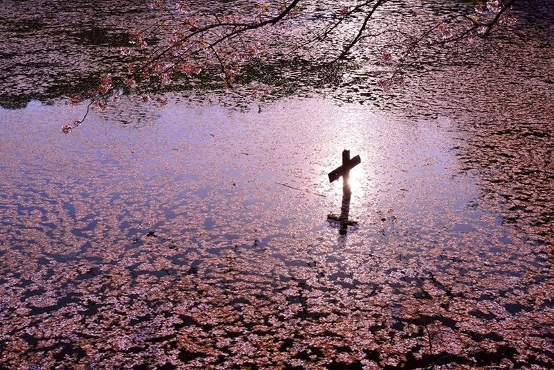 kochan：日本摄影师镜头下的奈良美景