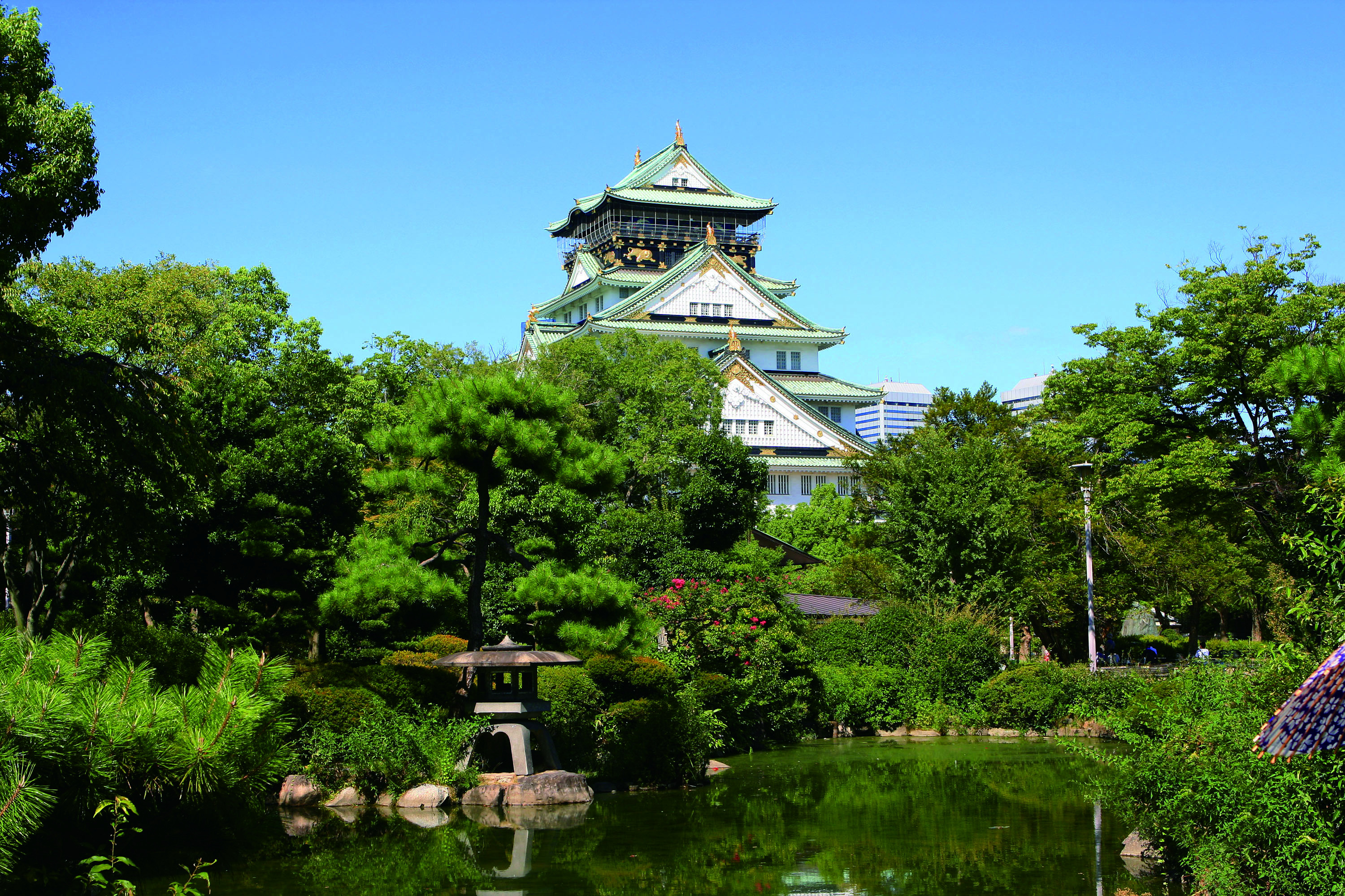 带着相机去旅行 畅游全球拍尽世界的美景