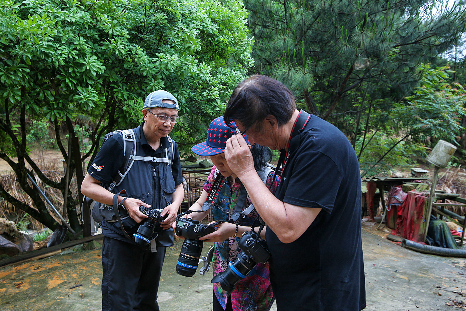 镜头里的“视界”腾龙行 土楼拍摄作品赏析