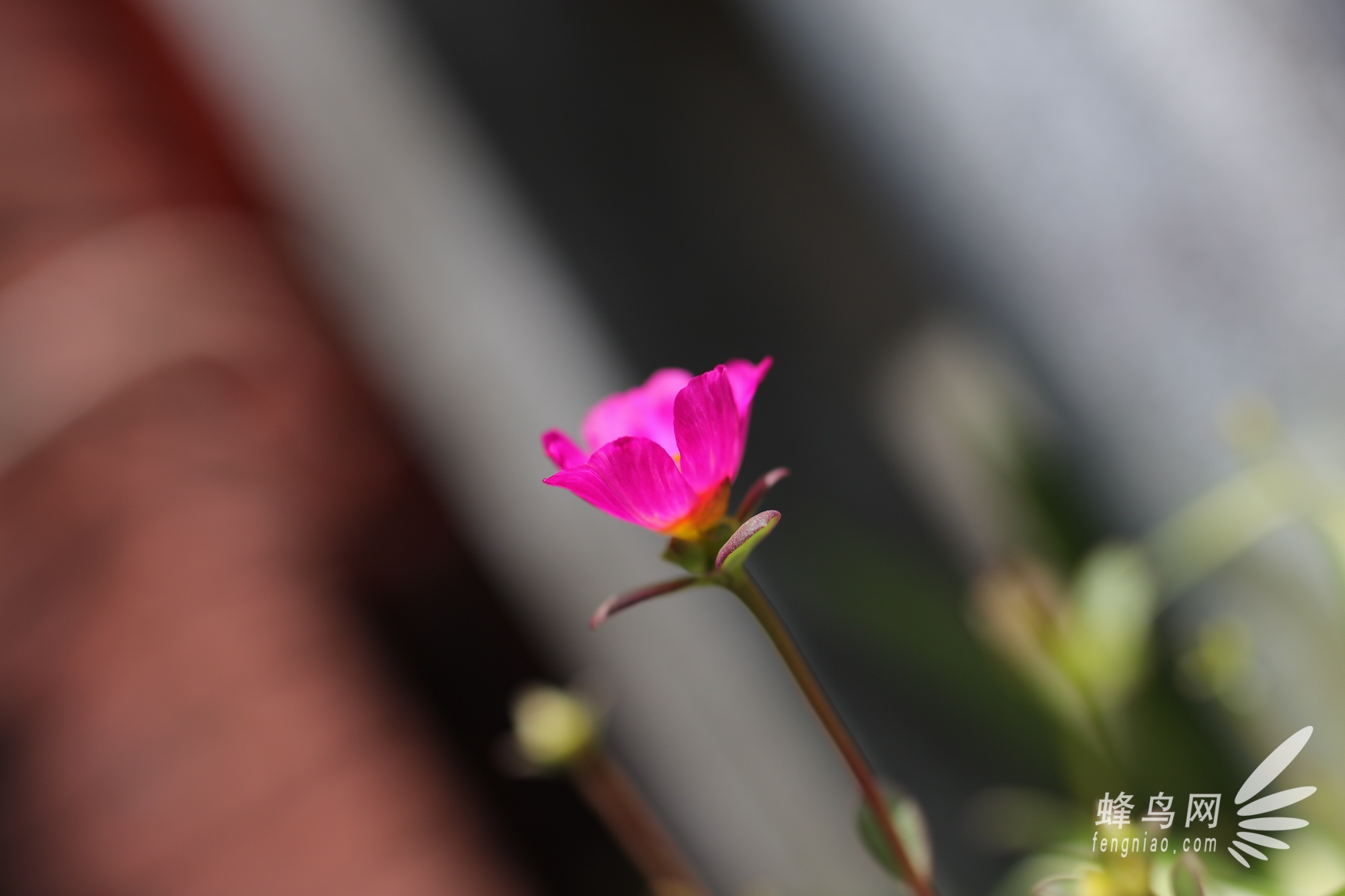 首款防抖标头 腾龙45mm F1.8镜头样张赏析