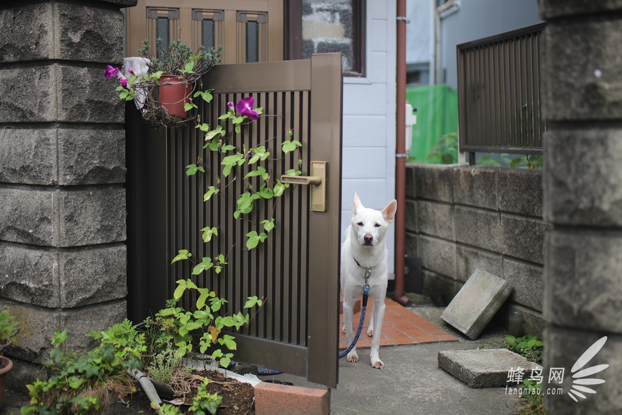 首款防抖标头 腾龙45mm F1.8镜头样张赏析