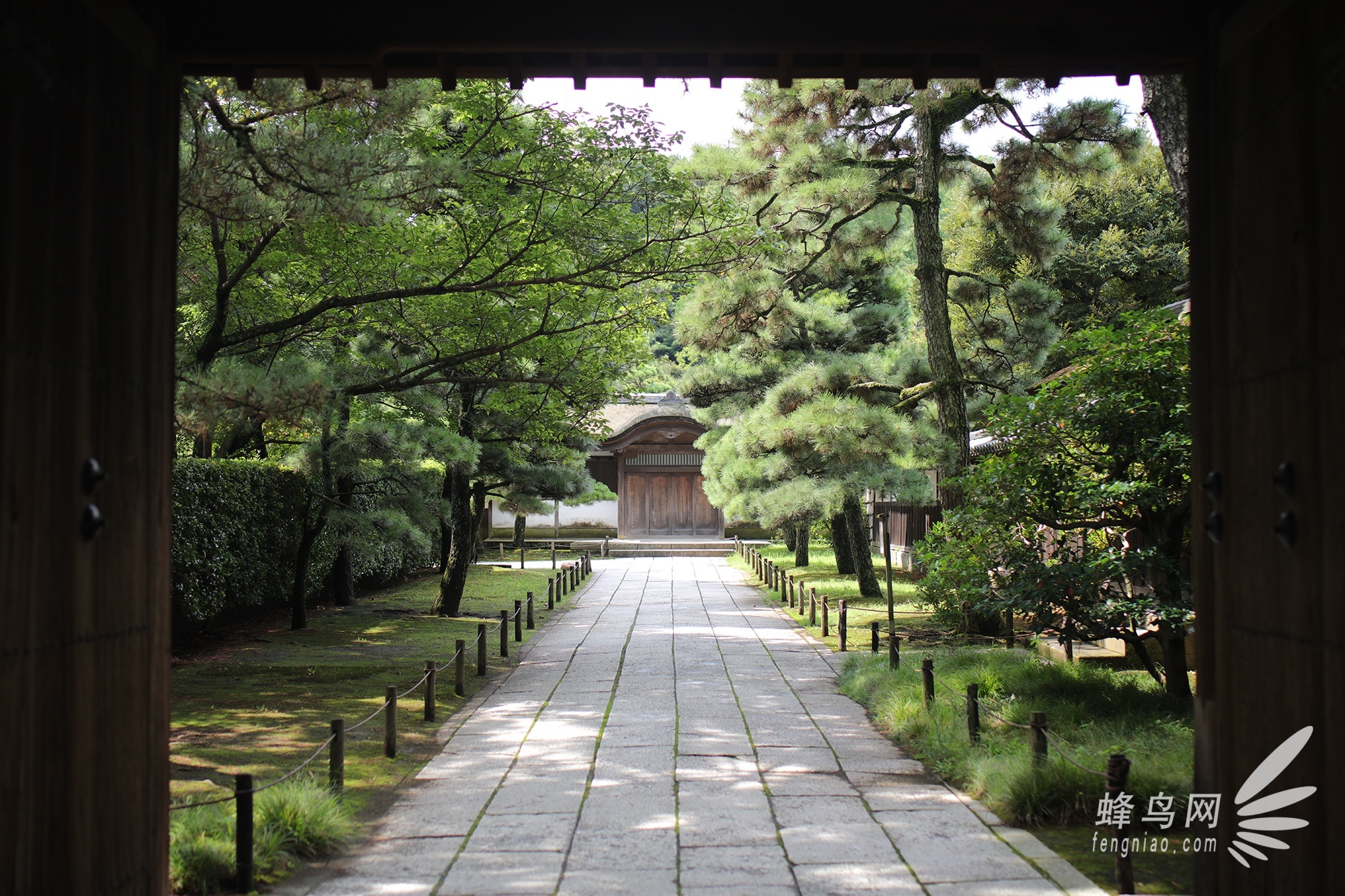 首款防抖标头 腾龙45mm F1.8镜头样张赏析