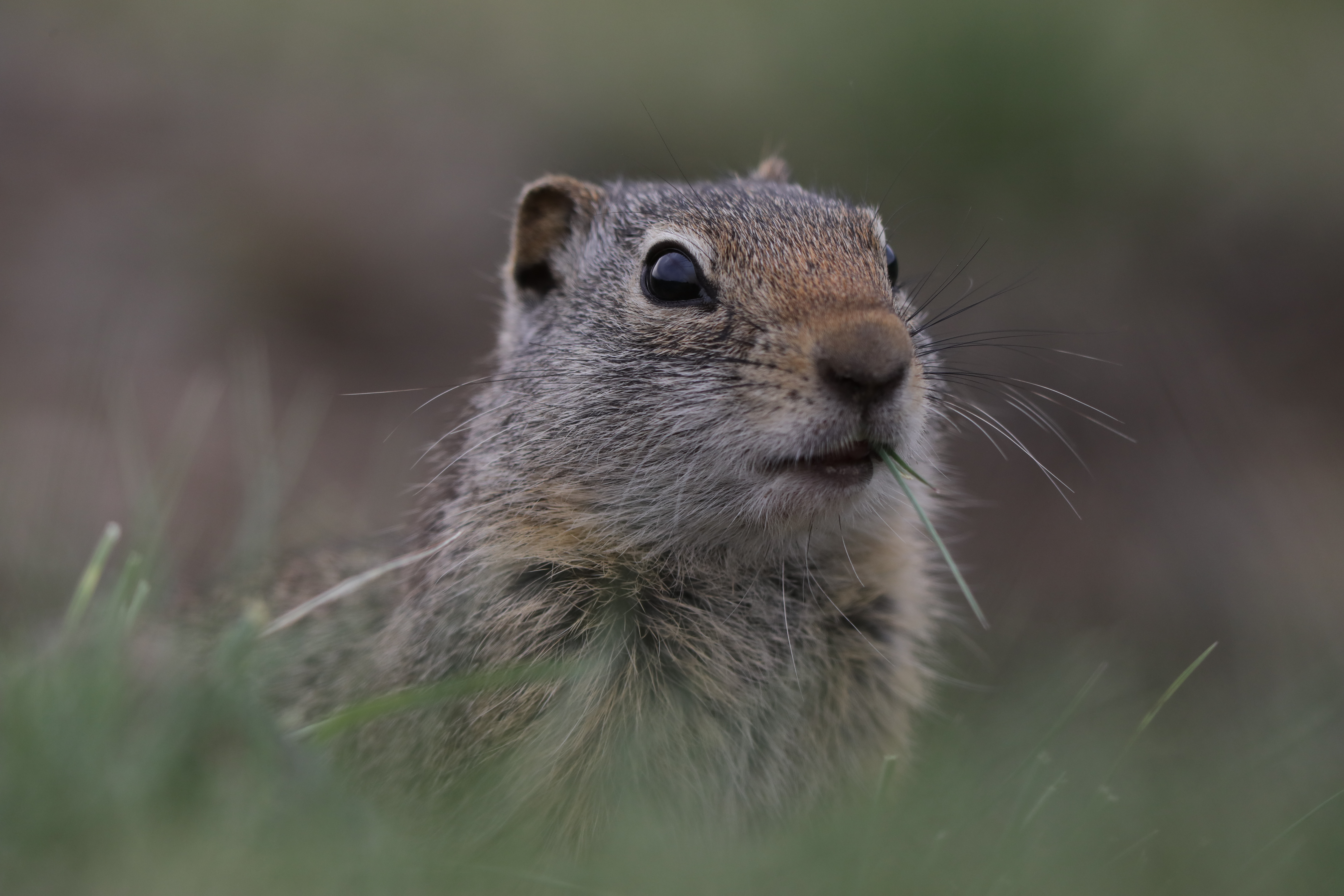 画质惊艳 佳能EOS 5D Mark IV样片赏析