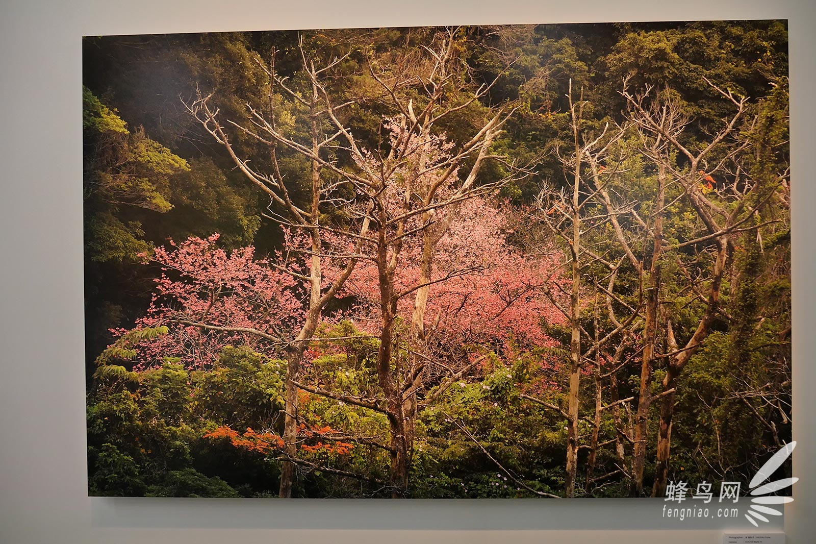 CP+2017:影像文化全体现 佳能展台影展现场