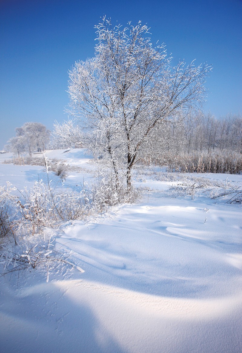 雪景摄影大赛获奖作品图片