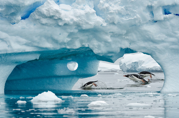 走遍每一个角落 一位生物学家眼中的南极美景