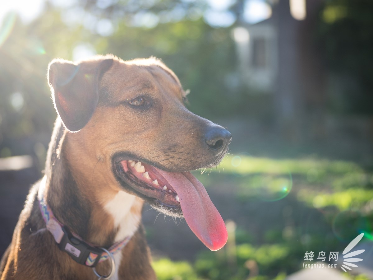 镜身效果出色 奥林巴斯25mm f1.2镜头样片