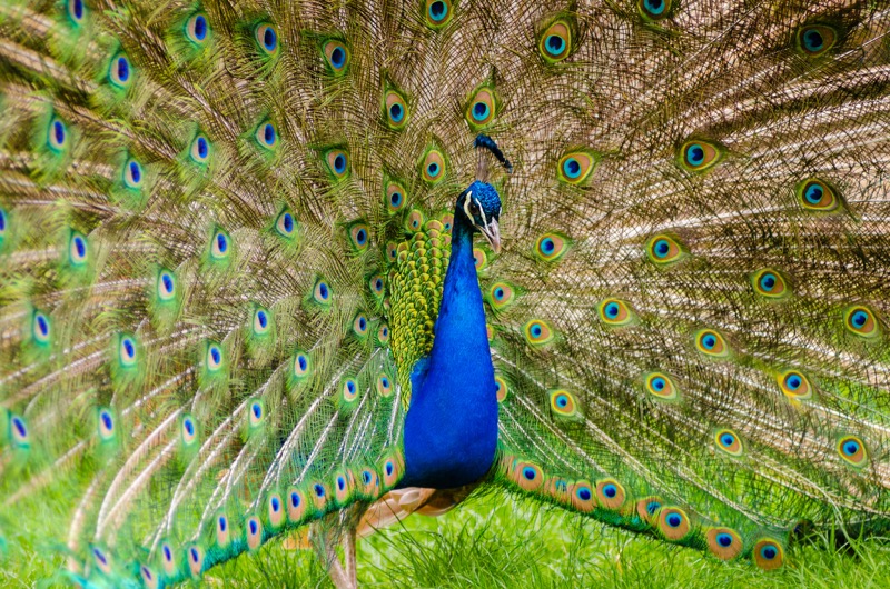 ȻĶ 20ĿĿȸ