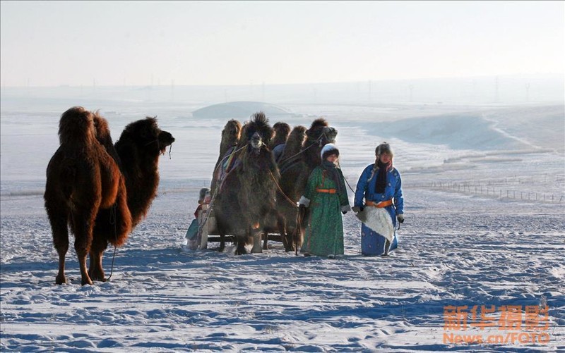 最纯粹的蒙古之旅 摄影师实拍蒙古人民组照