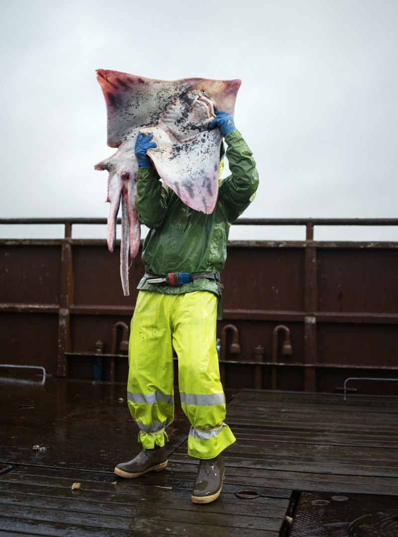 白令海上的捕鱼达人 记录海洋和渔夫的日常生活