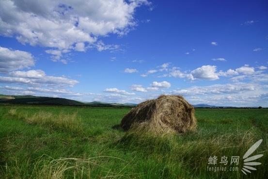  FE 24-70mm F2.8GMʵ